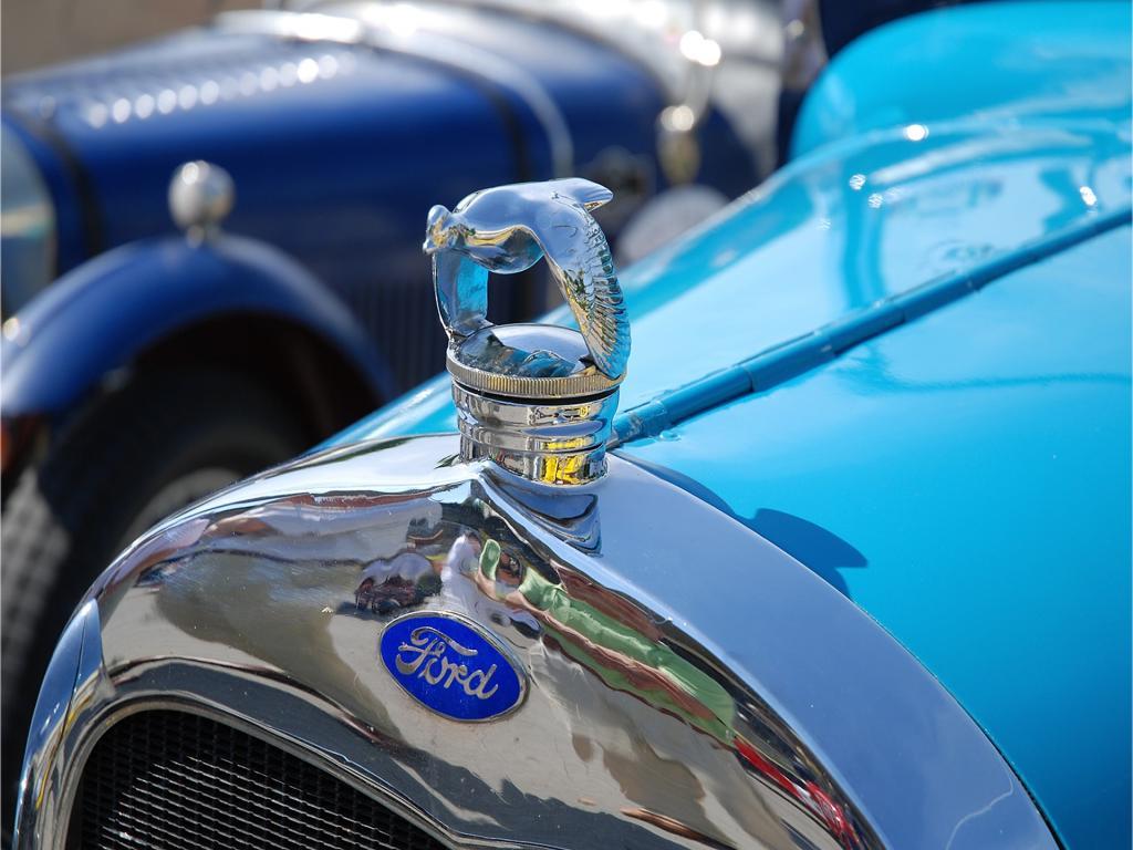 How Have Institutional Investors Been Trading Ford Motor Company (F)?