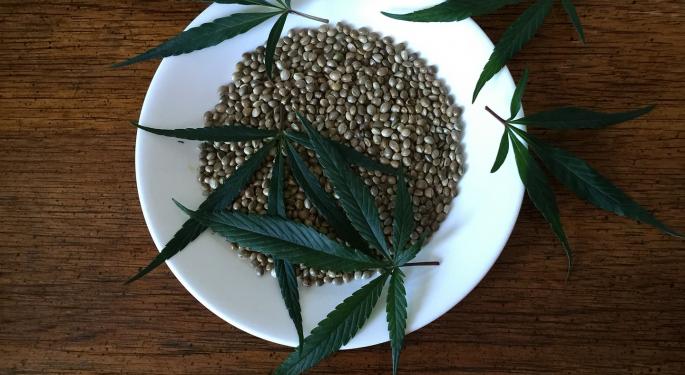 Why Hemp Could Be The Future Of Plastics